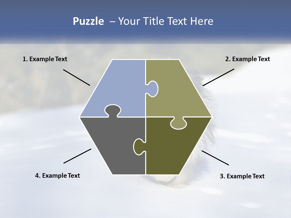 A Dog Is Standing In The Snow On A Sunny Day PowerPoint Template