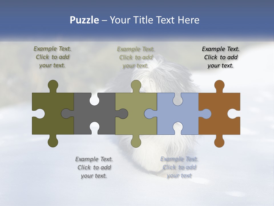 A Dog Is Standing In The Snow On A Sunny Day PowerPoint Template