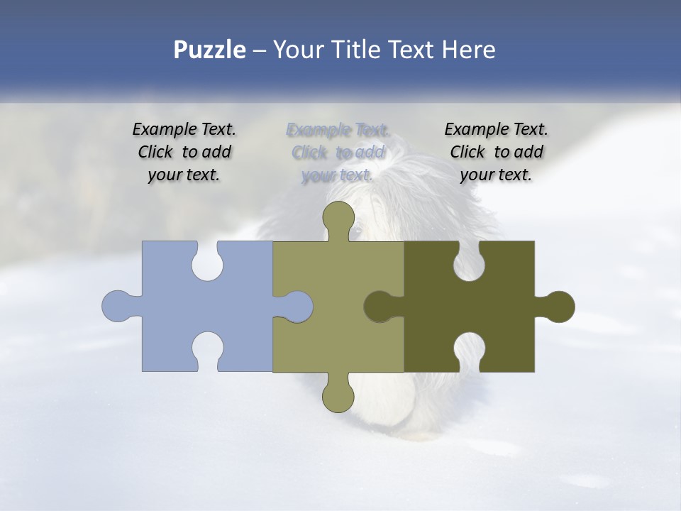 A Dog Is Standing In The Snow On A Sunny Day PowerPoint Template