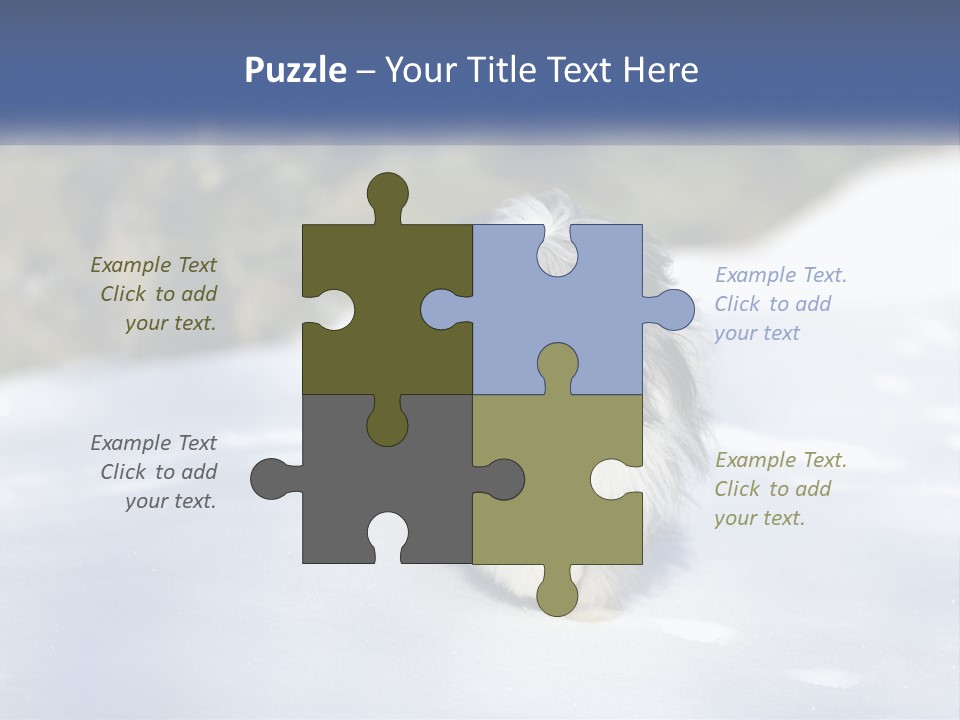 A Dog Is Standing In The Snow On A Sunny Day PowerPoint Template