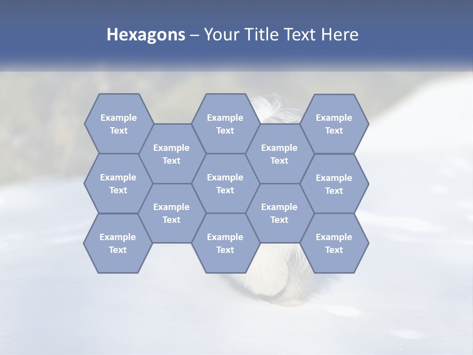 A Dog Is Standing In The Snow On A Sunny Day PowerPoint Template