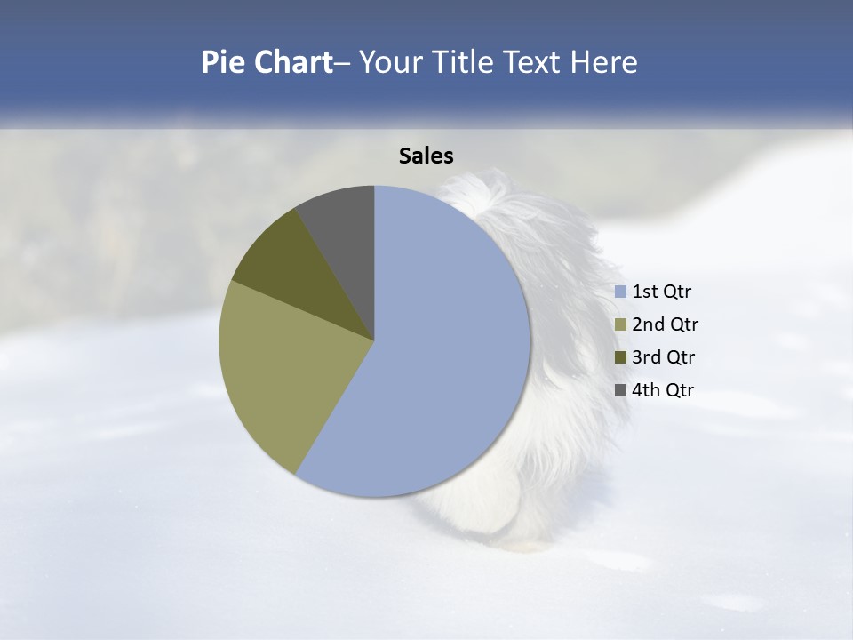 A Dog Is Standing In The Snow On A Sunny Day PowerPoint Template