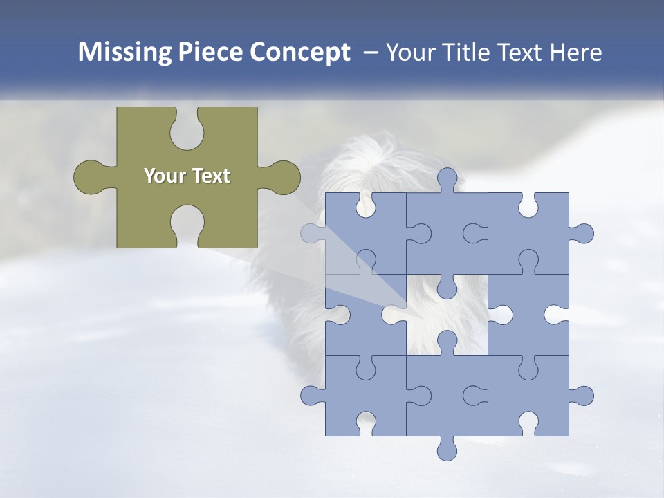 A Dog Is Standing In The Snow On A Sunny Day PowerPoint Template