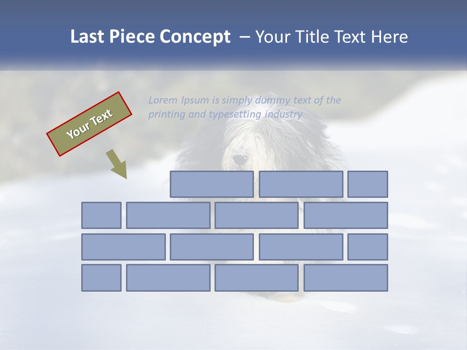 A Dog Is Standing In The Snow On A Sunny Day PowerPoint Template