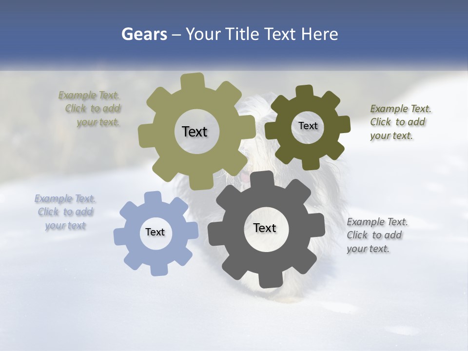 A Dog Is Standing In The Snow On A Sunny Day PowerPoint Template