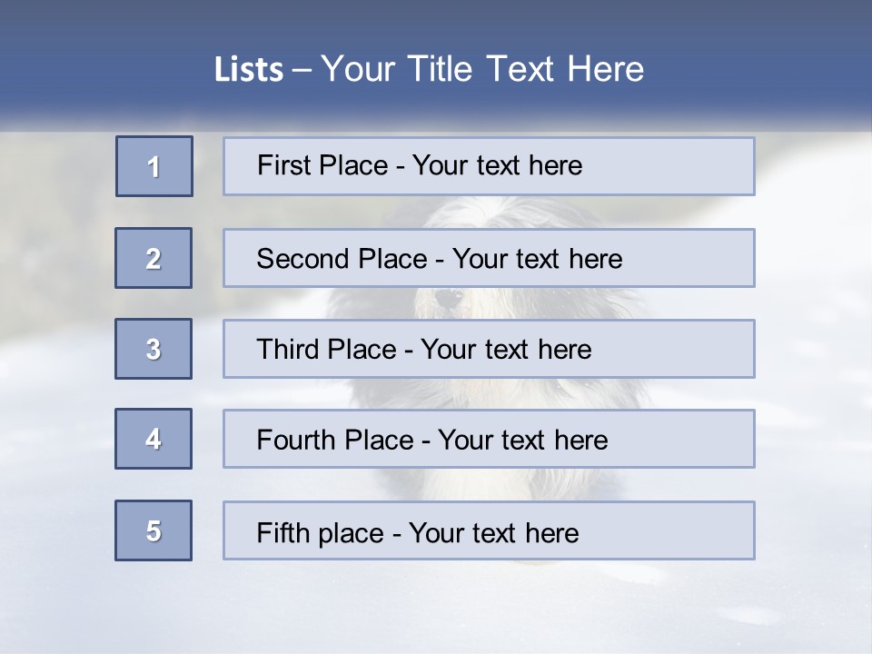 A Dog Is Standing In The Snow On A Sunny Day PowerPoint Template