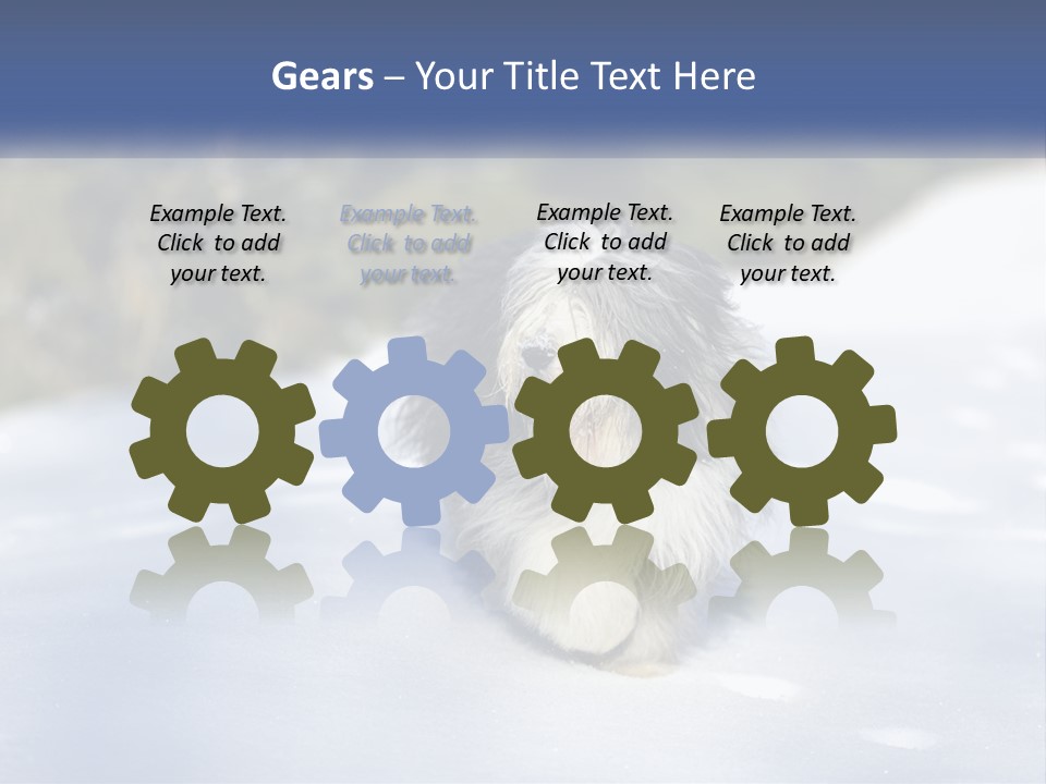 A Dog Is Standing In The Snow On A Sunny Day PowerPoint Template