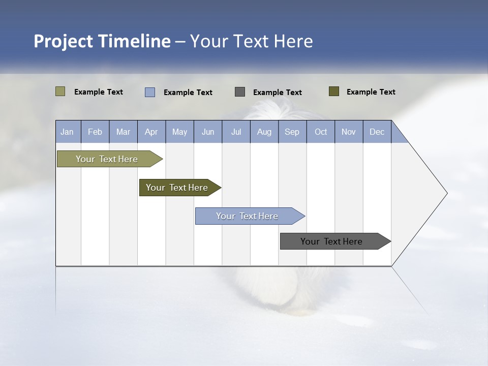 A Dog Is Standing In The Snow On A Sunny Day PowerPoint Template