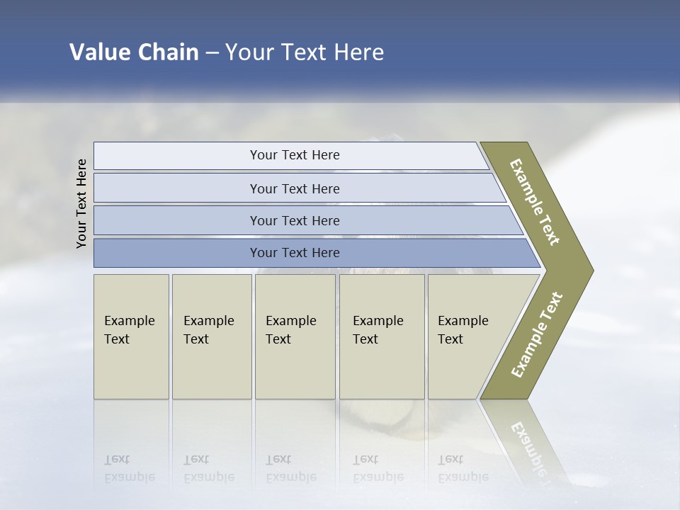 A Dog Is Standing In The Snow On A Sunny Day PowerPoint Template