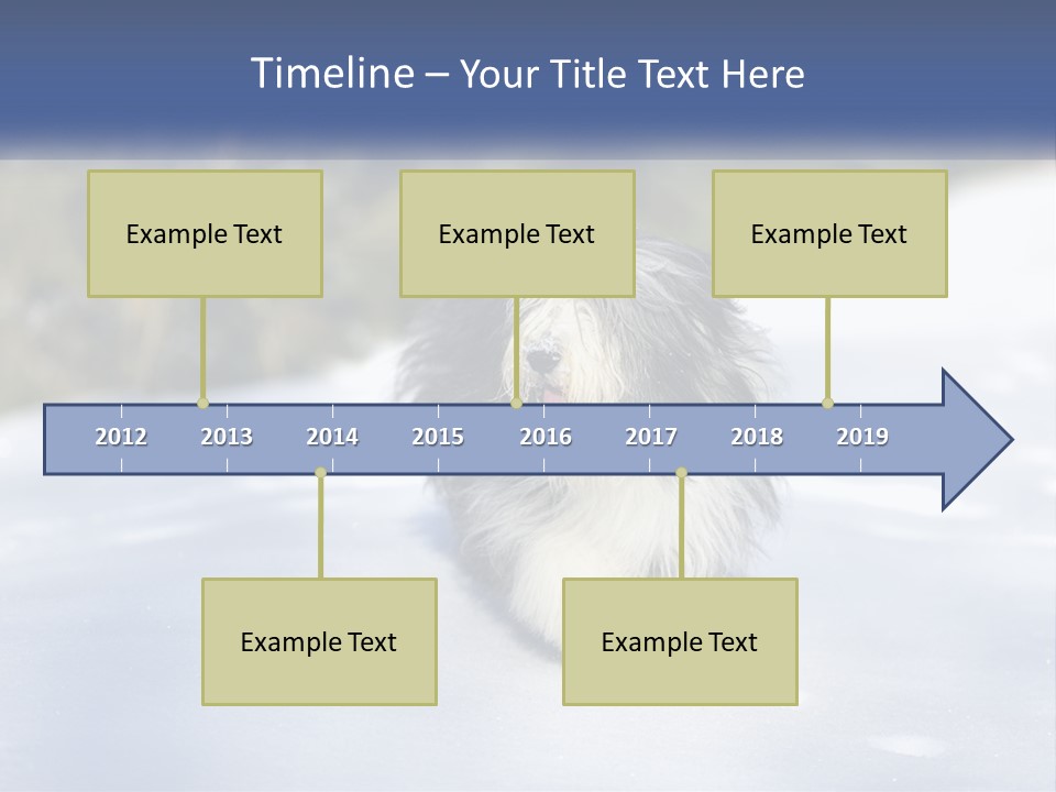 A Dog Is Standing In The Snow On A Sunny Day PowerPoint Template