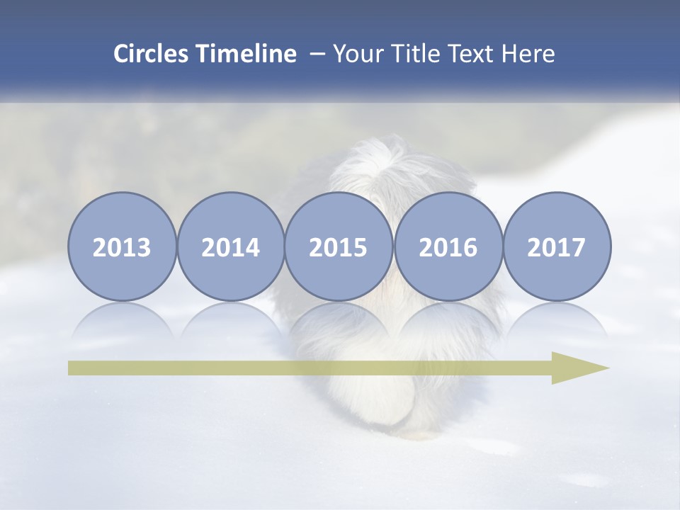 A Dog Is Standing In The Snow On A Sunny Day PowerPoint Template