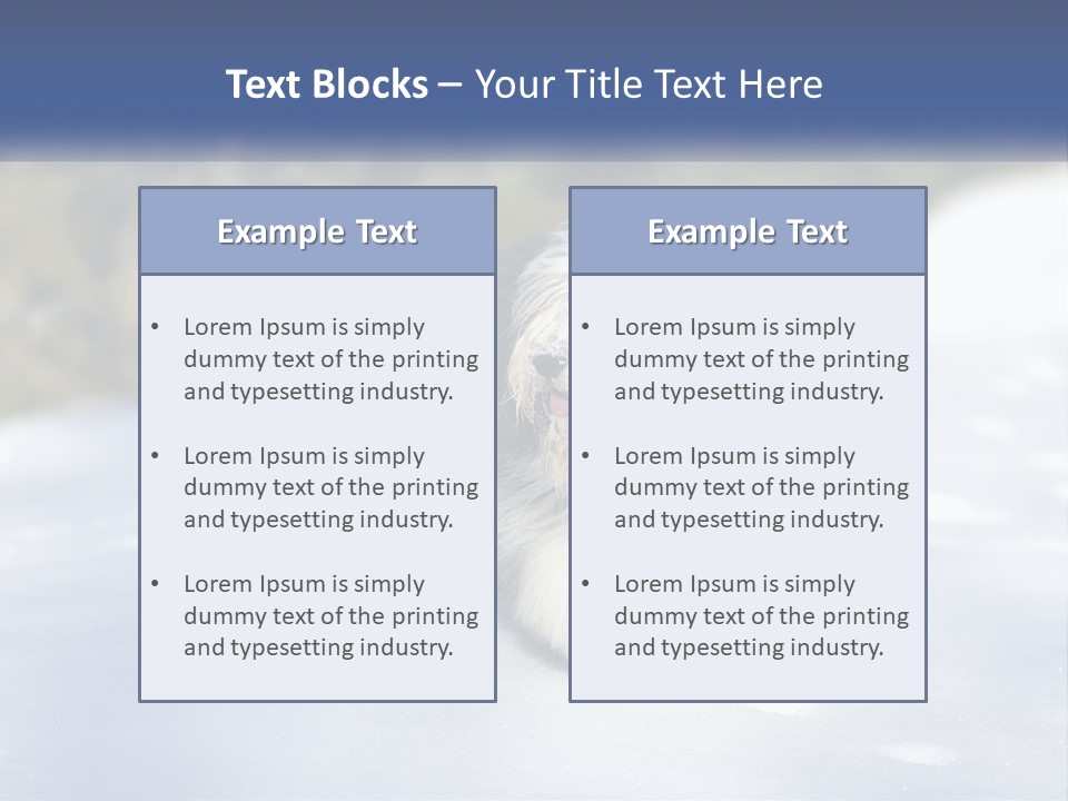 A Dog Is Standing In The Snow On A Sunny Day PowerPoint Template