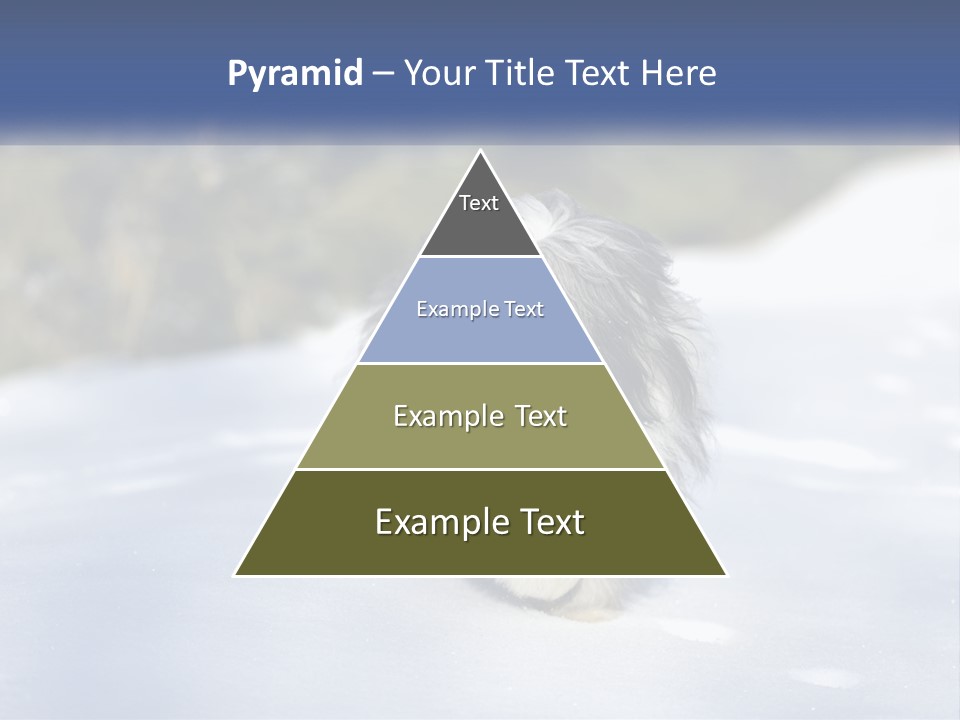 A Dog Is Standing In The Snow On A Sunny Day PowerPoint Template