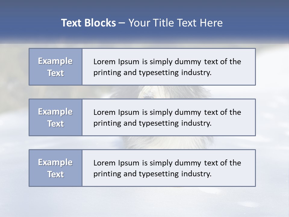 A Dog Is Standing In The Snow On A Sunny Day PowerPoint Template