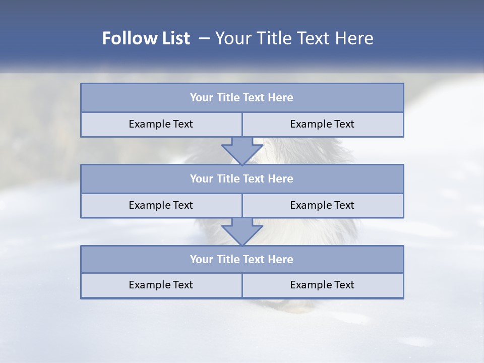 A Dog Is Standing In The Snow On A Sunny Day PowerPoint Template