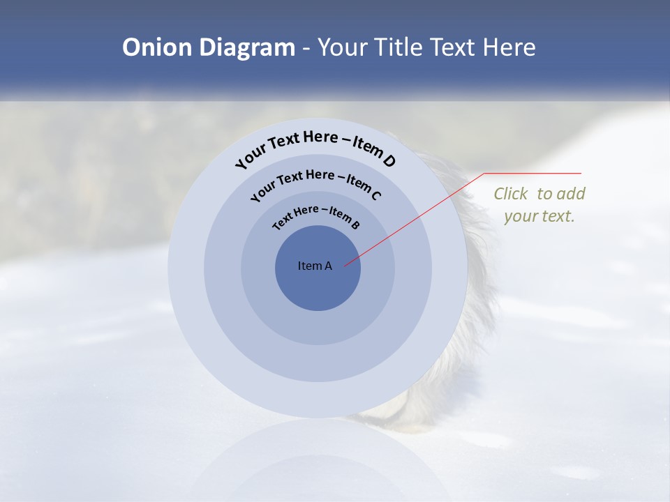 A Dog Is Standing In The Snow On A Sunny Day PowerPoint Template