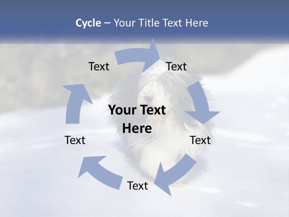 A Dog Is Standing In The Snow On A Sunny Day PowerPoint Template