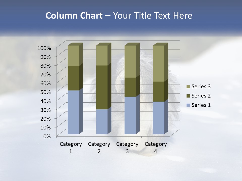 A Dog Is Standing In The Snow On A Sunny Day PowerPoint Template