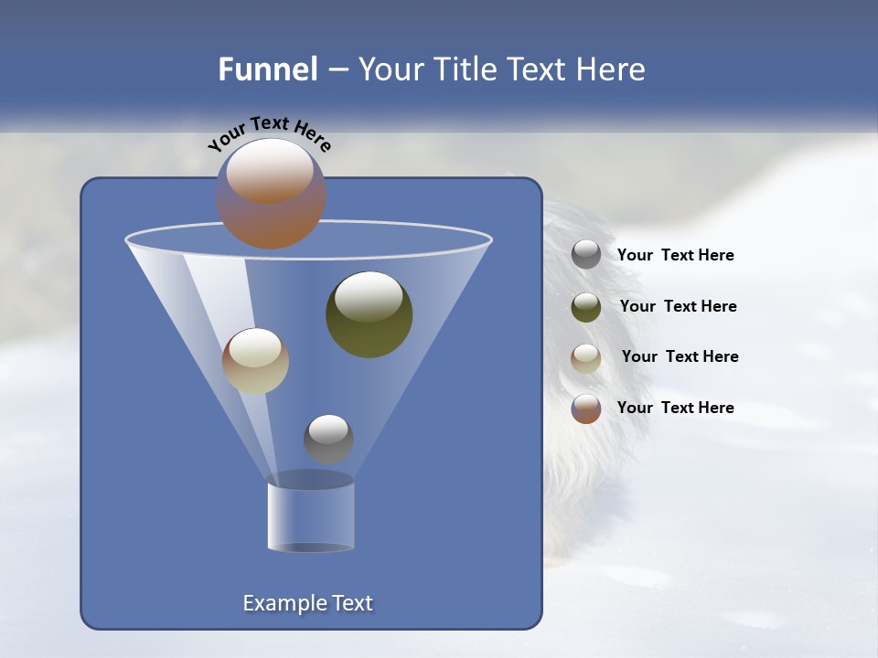 A Dog Is Standing In The Snow On A Sunny Day PowerPoint Template