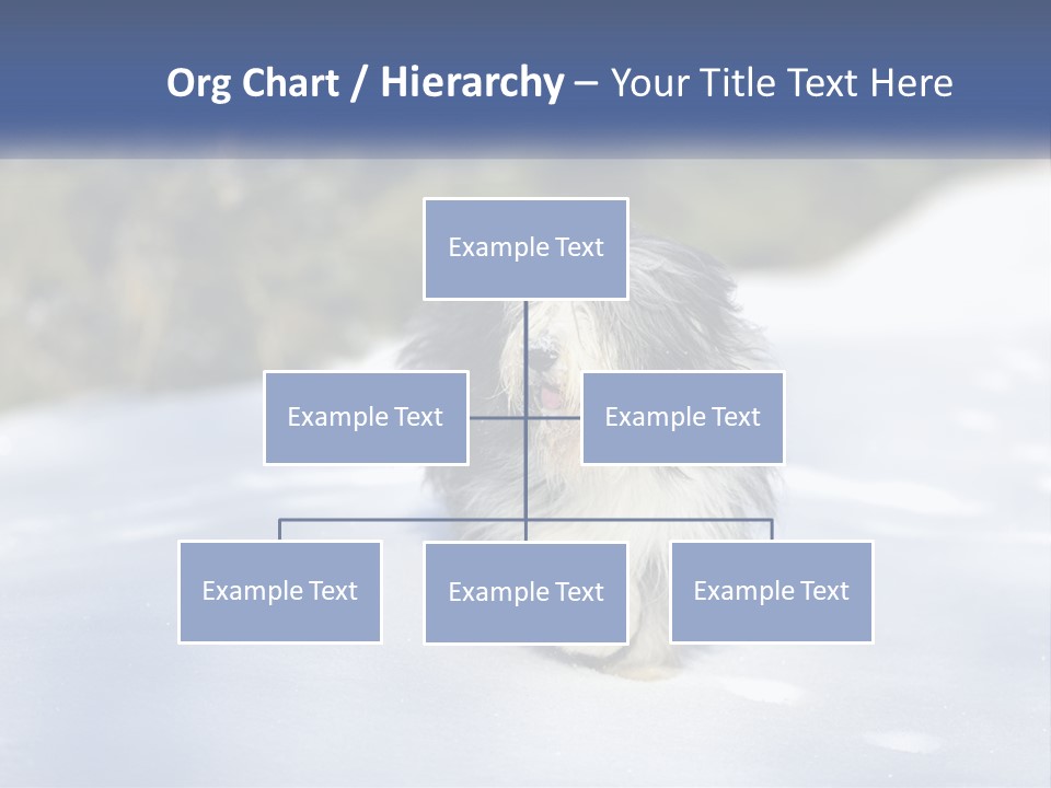 A Dog Is Standing In The Snow On A Sunny Day PowerPoint Template