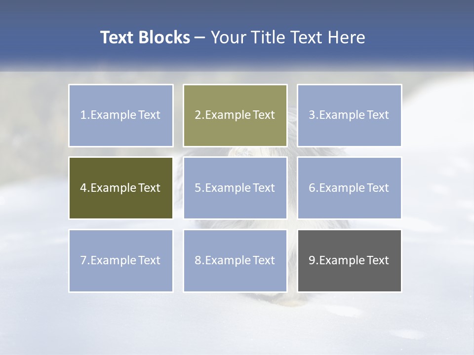 A Dog Is Standing In The Snow On A Sunny Day PowerPoint Template