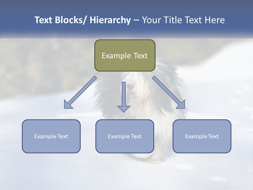 A Dog Is Standing In The Snow On A Sunny Day PowerPoint Template