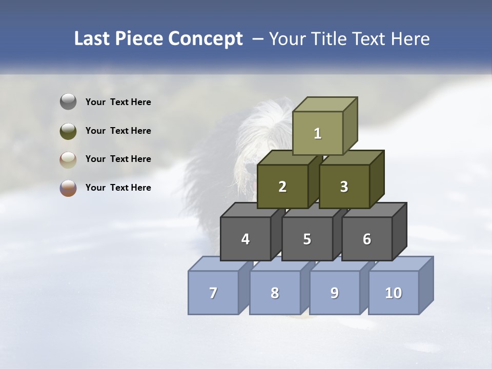 A Dog Is Standing In The Snow On A Sunny Day PowerPoint Template