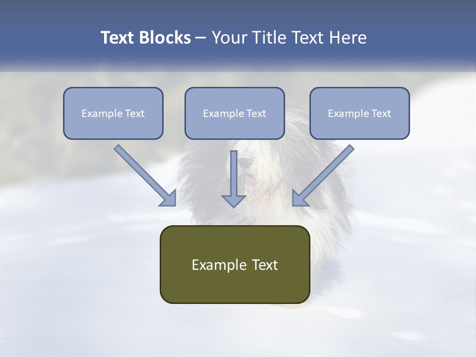 A Dog Is Standing In The Snow On A Sunny Day PowerPoint Template
