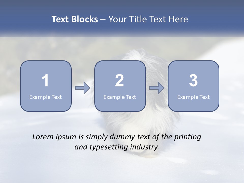 A Dog Is Standing In The Snow On A Sunny Day PowerPoint Template