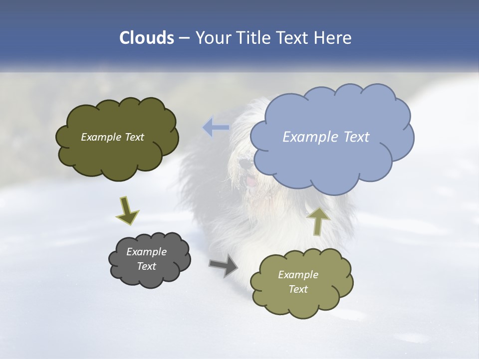 A Dog Is Standing In The Snow On A Sunny Day PowerPoint Template