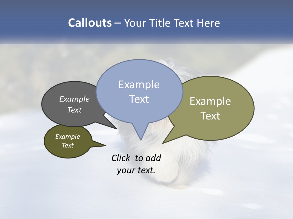 A Dog Is Standing In The Snow On A Sunny Day PowerPoint Template