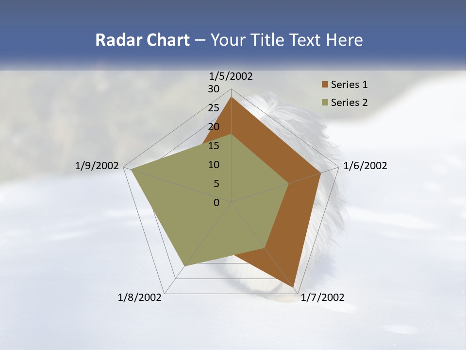A Dog Is Standing In The Snow On A Sunny Day PowerPoint Template