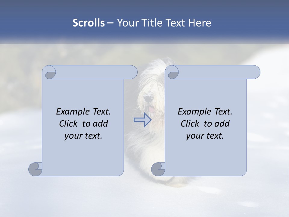 A Dog Is Standing In The Snow On A Sunny Day PowerPoint Template