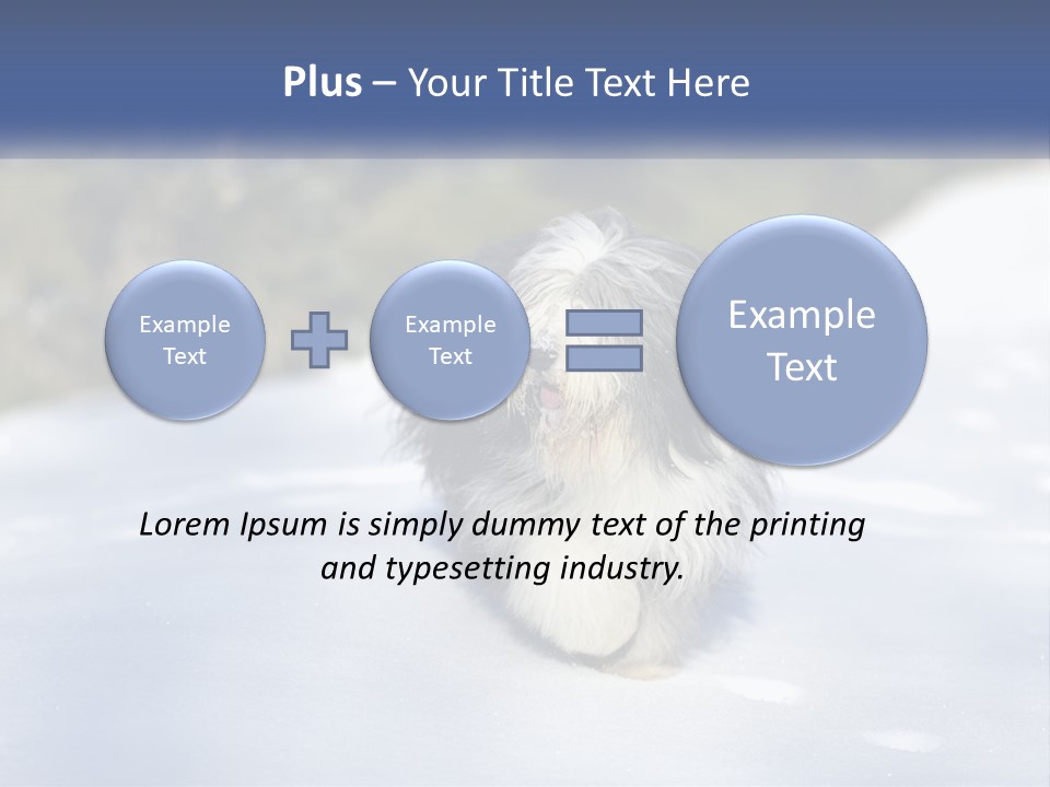 A Dog Is Standing In The Snow On A Sunny Day PowerPoint Template