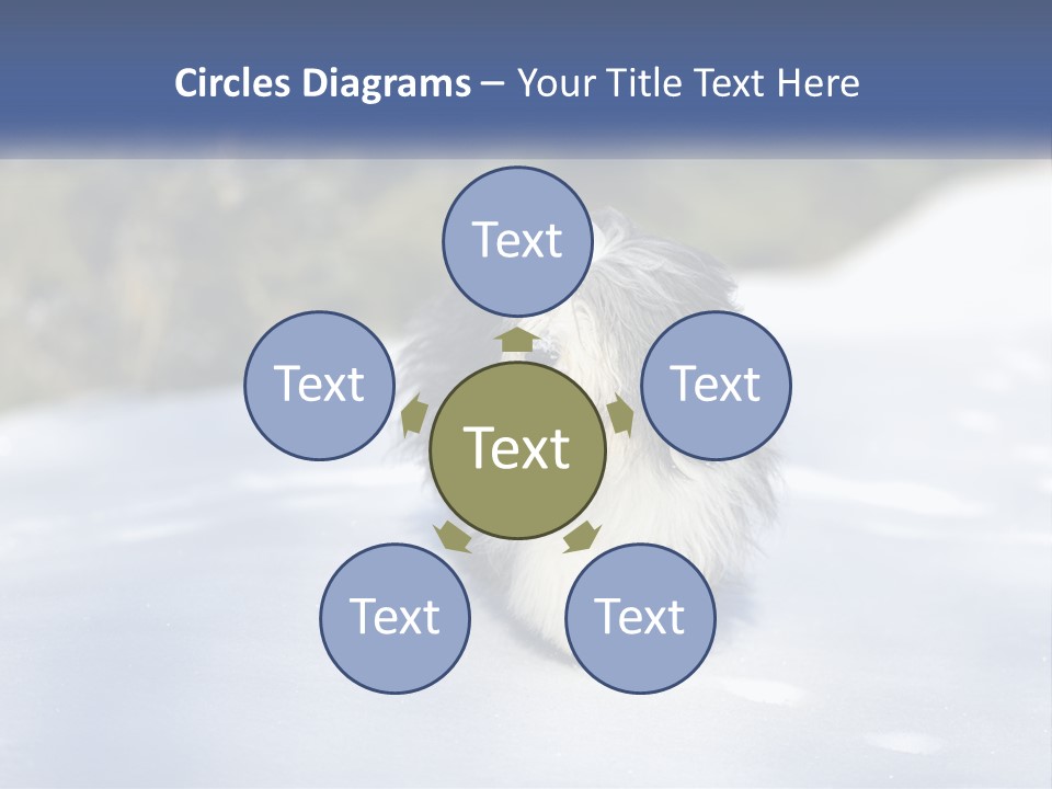 A Dog Is Standing In The Snow On A Sunny Day PowerPoint Template