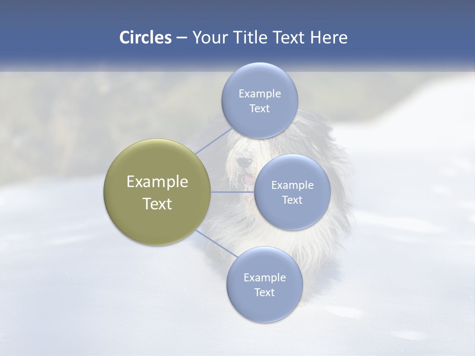 A Dog Is Standing In The Snow On A Sunny Day PowerPoint Template