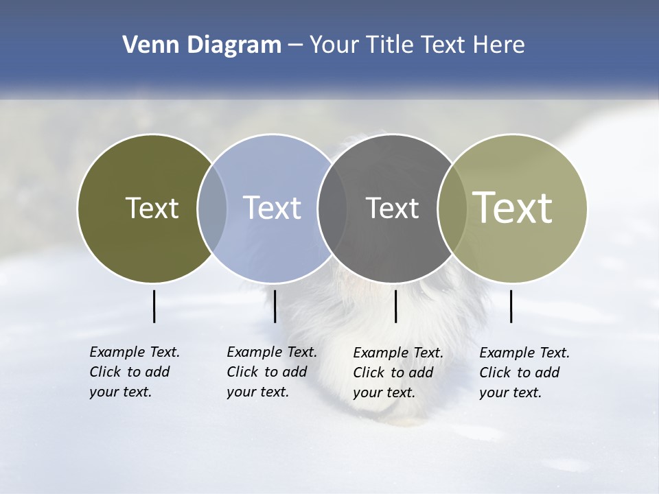 A Dog Is Standing In The Snow On A Sunny Day PowerPoint Template