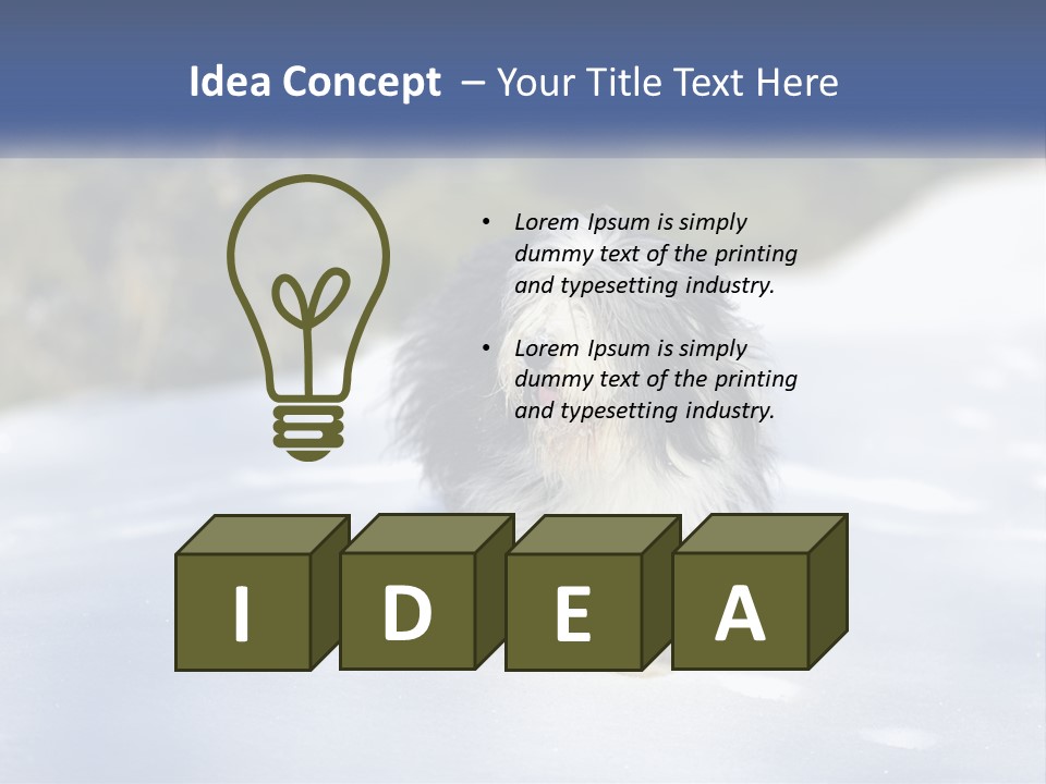 A Dog Is Standing In The Snow On A Sunny Day PowerPoint Template