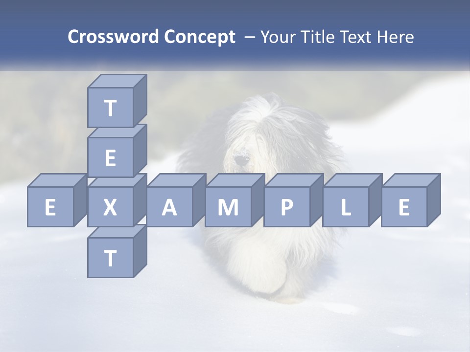 A Dog Is Standing In The Snow On A Sunny Day PowerPoint Template