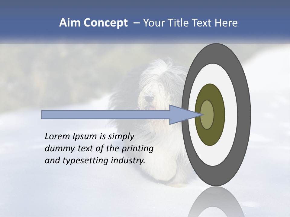 A Dog Is Standing In The Snow On A Sunny Day PowerPoint Template