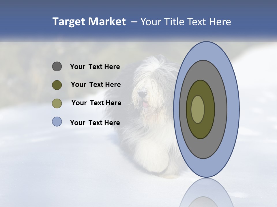A Dog Is Standing In The Snow On A Sunny Day PowerPoint Template