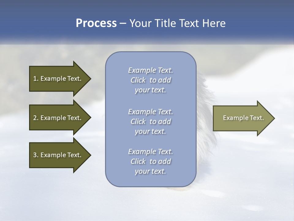 A Dog Is Standing In The Snow On A Sunny Day PowerPoint Template