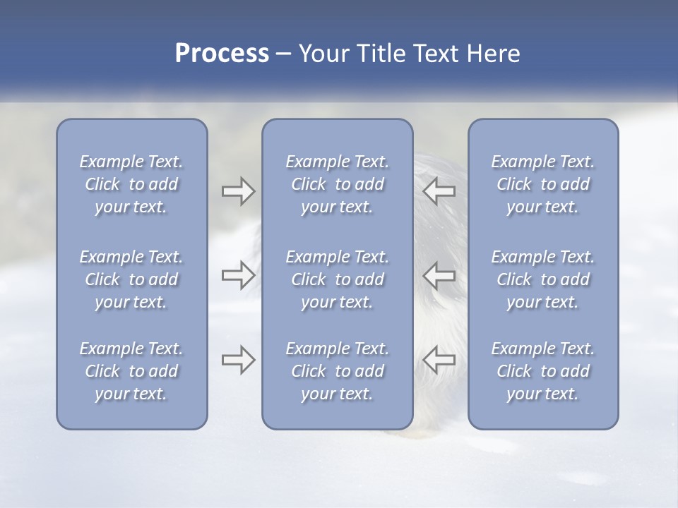 A Dog Is Standing In The Snow On A Sunny Day PowerPoint Template