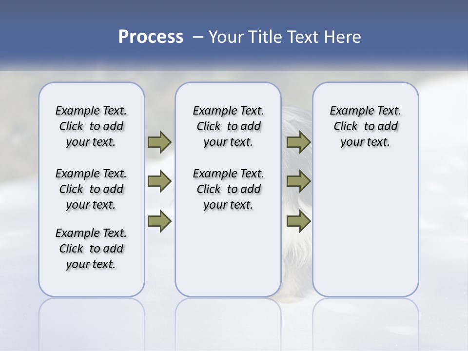 A Dog Is Standing In The Snow On A Sunny Day PowerPoint Template