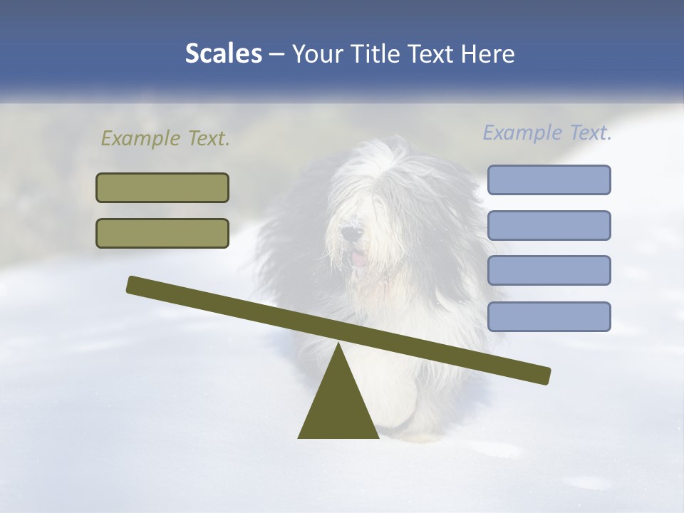 A Dog Is Standing In The Snow On A Sunny Day PowerPoint Template