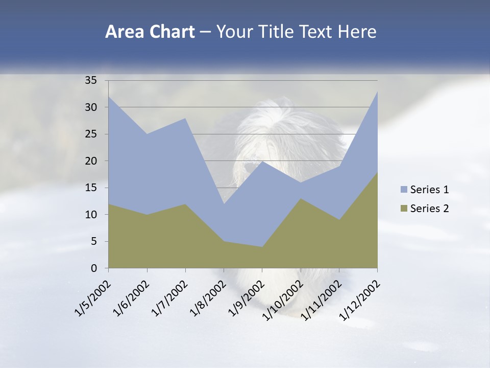 A Dog Is Standing In The Snow On A Sunny Day PowerPoint Template
