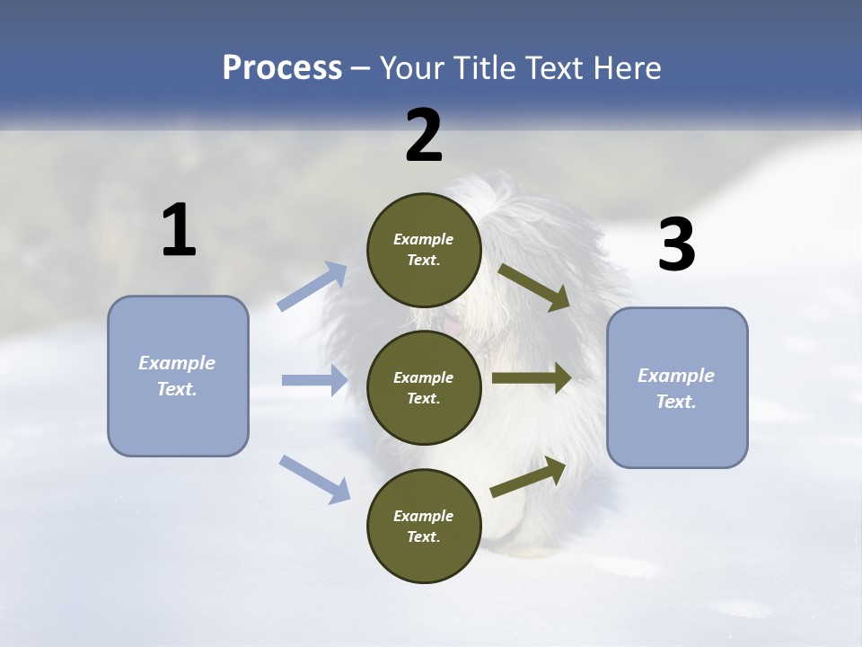 A Dog Is Standing In The Snow On A Sunny Day PowerPoint Template