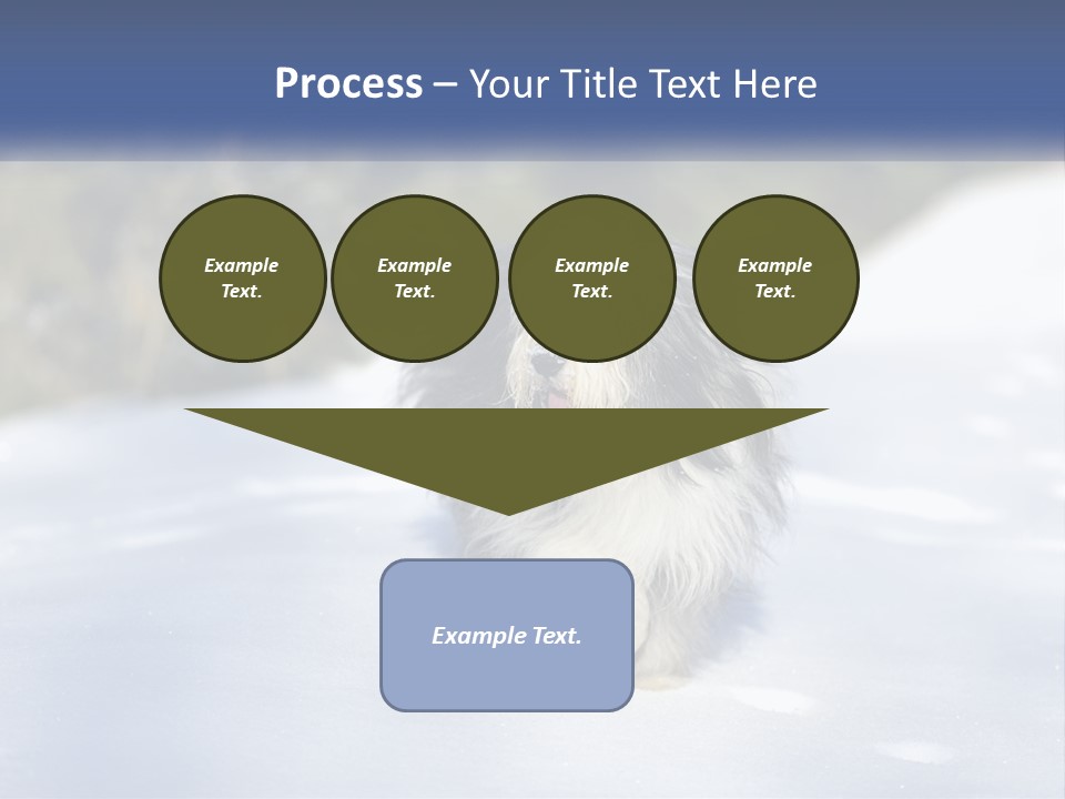 A Dog Is Standing In The Snow On A Sunny Day PowerPoint Template