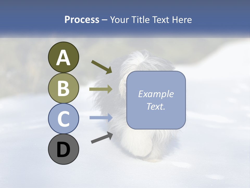 A Dog Is Standing In The Snow On A Sunny Day PowerPoint Template