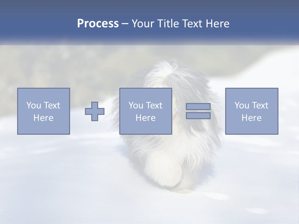 A Dog Is Standing In The Snow On A Sunny Day PowerPoint Template